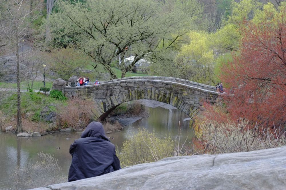 A color photograph of the Gapstow Bridge in Central Park, Manhattan.  The shot is taken from a nearby rock formation overlooking the scene.  A person in a black raincoat is in the foreground, looking out over the pond, the stone bridge, and a medley of budding trees with lovely red, yellow, and green colors.  Several people are hanging out on the bridge, with one person looking like they're photographing me back.  Hey bud 👋