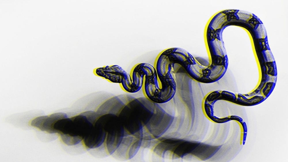 Hackers target Python devs in phishing attacks using a fake Python Package Index (PyPI) website.