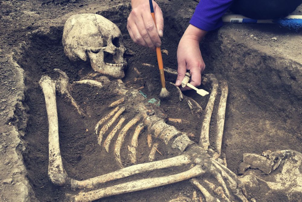 Accidental basement find reveals dozens of centuries-old skeletons