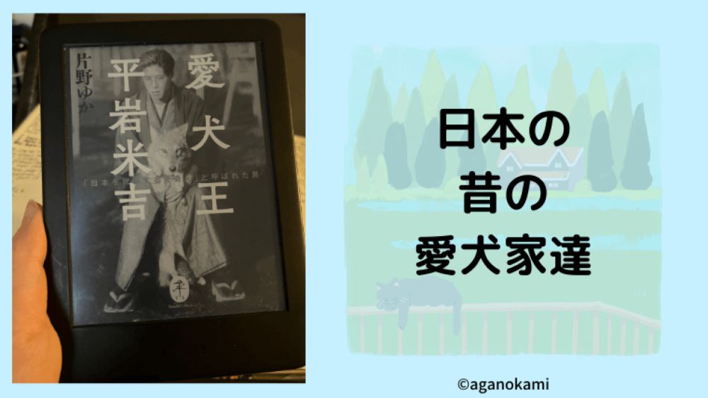 読んで良かった犬に関する本たち【日本の歴史】｜あがの犬暮らしinCANADA