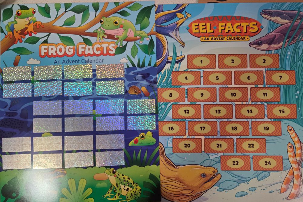 Eel Facts and Frog Facts advent calendars