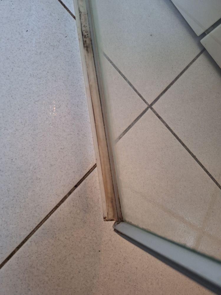 Die gleiche Dichtung fast irgendwie sauber. 