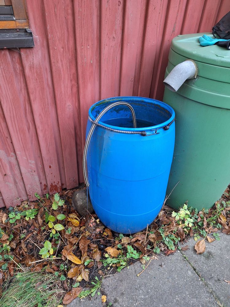 Zwei Regentonnen. In der kleinen blauen Tonne links hängt ein kurzer Schlauch, um das Wasser automatisch abzulassen. 