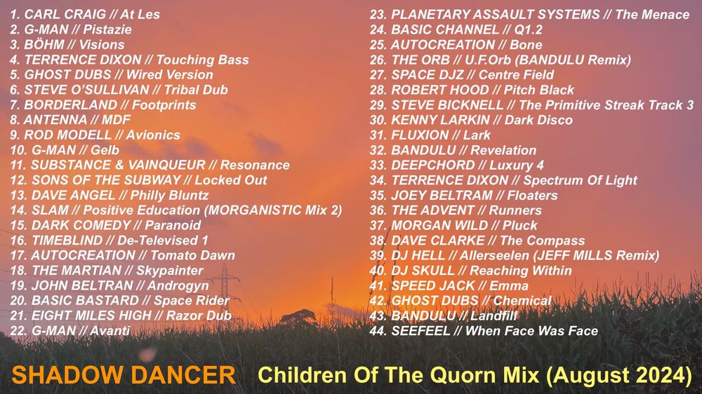 Trax: 
1. CARL CRAIG // At Les
2. G-MAN // Pistazie
3. BÖHM // Visions
4. TERRENCE DIXON // Touching Bass
5. GHOST DUBS // Wired Version
6. STEVE O’SULLIVAN // Tribal Dub
7. BORDERLAND // Footprints
8. ANTENNA // MDF
9. ROD MODELL // Avionics
10. G-MAN // Gelb
11. SUBSTANCE & VAINQUEUR // Resonance
12. SONS OF THE SUBWAY // Locked Out
13. DAVE ANGEL // Philly Bluntz
14. SLAM // Positive Education (MORGANISTIC Mix 2)
15. DARK COMEDY // Paranoid
16. TIMEBLIND // De-Televised 1
17. AUTOCREATION // Tomato Dawn
18. THE MARTIAN // Skypainter
19. JOHN BELTRAN // Androgyn
20. BASIC BASTARD // Space Rider
21. EIGHT MILES HIGH // Razor Dub
22. G-MAN // Avanti
23. PLANETARY ASSAULT SYSTEMS // The Menace
24. BASIC CHANNEL // Q1.2
25. AUTOCREATION // Bone
26. THE ORB // U.F.Orb (BANDULU Remix)
27. SPACE DJZ // Centre Field
28. ROBERT HOOD // Pitch Black
29. STEVE BICKNELL // The Primitive Streak Track 3
30. KENNY LARKIN // Dark Disco
31. FLUXION // Lark
32. BANDULU // Revelation
33. DEEPCHORD // Luxury 4
34. TERRENCE DIXON // Spectrum Of Light
35. JOEY BELTRAM // Floaters
36. THE ADVENT // Runners
37. MORGAN WILD // Pluck
38. DAVE CLARKE // The Compass
39. DJ HELL // Allerseelen (JEFF MILLS Remix)
40. DJ SKULL // Reaching Within
41. SPEED JACK // Emma
42. GHOST DUBS // Chemical
43. BANDULU // Landfill
44. SEEFEEL // When Face Was Face

#techno #detroittechno #mix #dubtechno