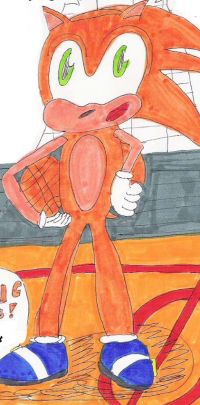 Bionic the Hedgehog, who is literally just orange sonic, holding a basketball. He was created by the dastardly lolcow Christine Weston Chandler.