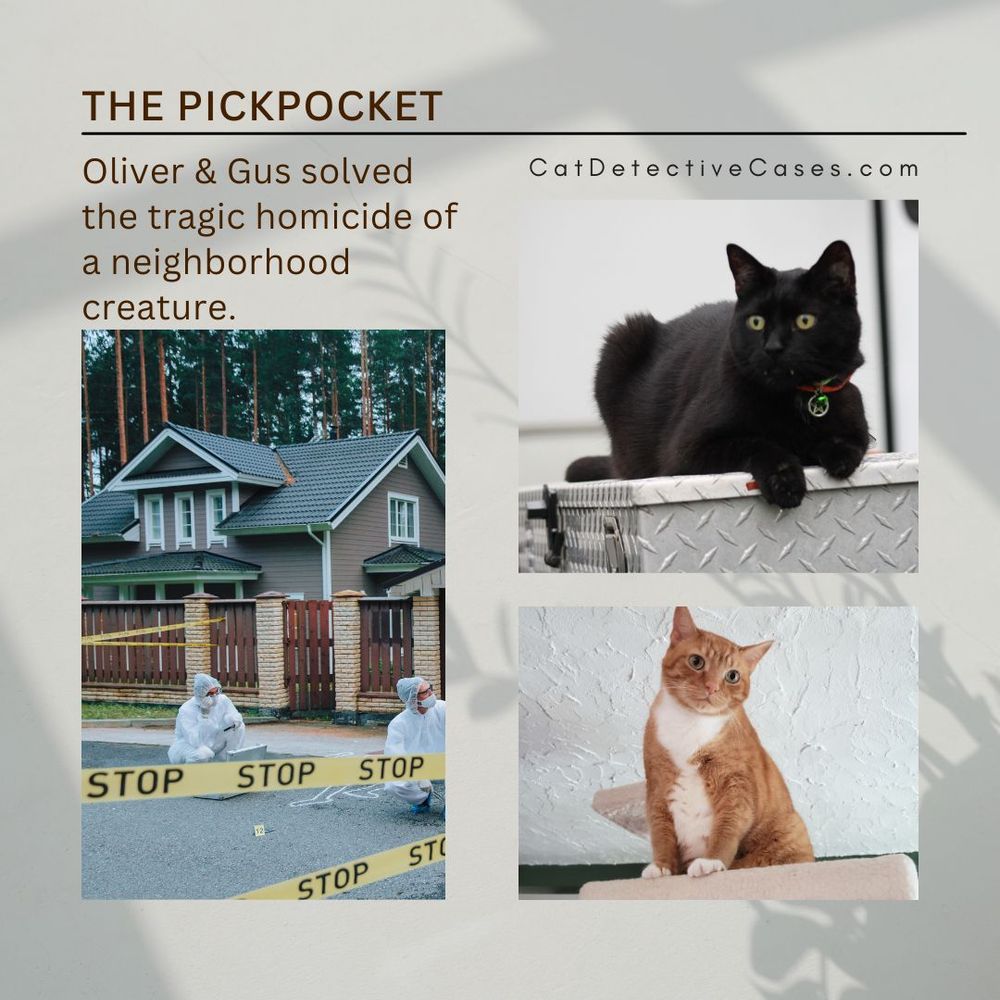 Headline: The Pickpocket
Summary: "Oliver & Gus solved the tragic homicide of a neighborhood creature. CatDetectiveCases.com"
Vertical photo on left: Canva stock photo of a crime scene taped off in front of a suburban house with investigators gathering evidence.
Top right: black cat Gus like a Sphinx on top of a silver metal chest outside.
Bottom right: orange tabby with white tuxedo and mittens, Oliver sitting up and looking down from high up on his tower.