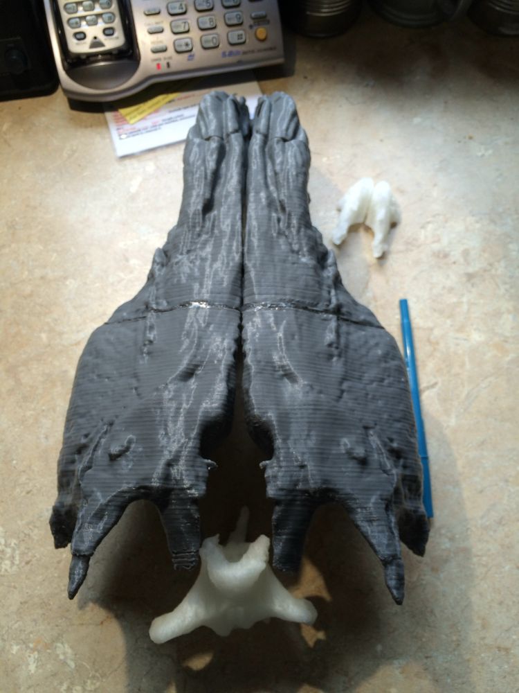 3D print of the skull from the top with the missing left side reconstructed by mirroring the right side. While not corrected for distortion it still shows the basic shape and size of the skull, particularly how wide the skull needed to be to accommodate the animal's large eyes