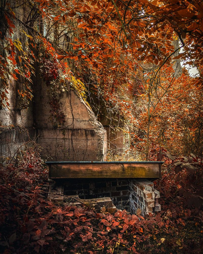 A fall image from the ridges in Athens Ohio. It depicts a fall scene with a broken brick well and a lid half off against crumbling walls with ivy. 