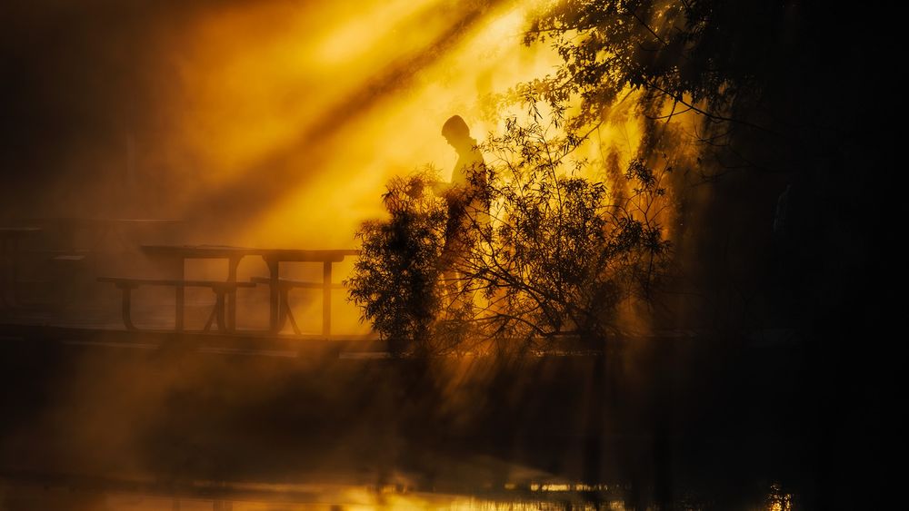 A silhouette of a person standing on a doc with heavy orange sunlight dominating the scene. There is a silhouette of vegetation in front. 