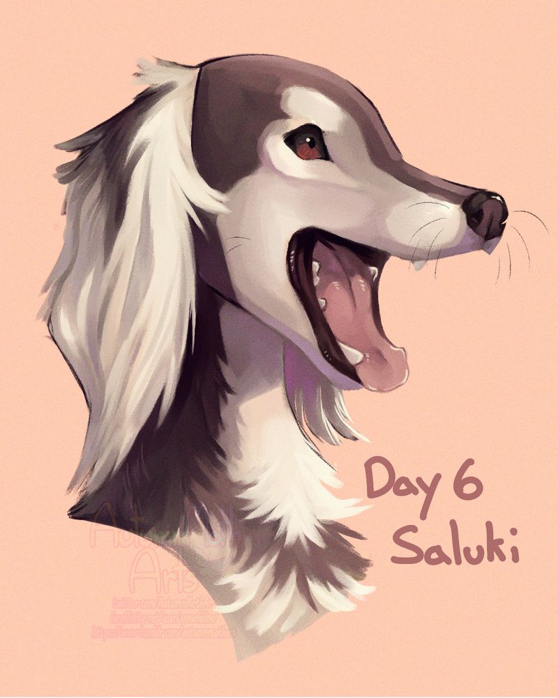 digital portrait painting of a dark brown and cream saluki panting. Text reads: Day 6 Saluki