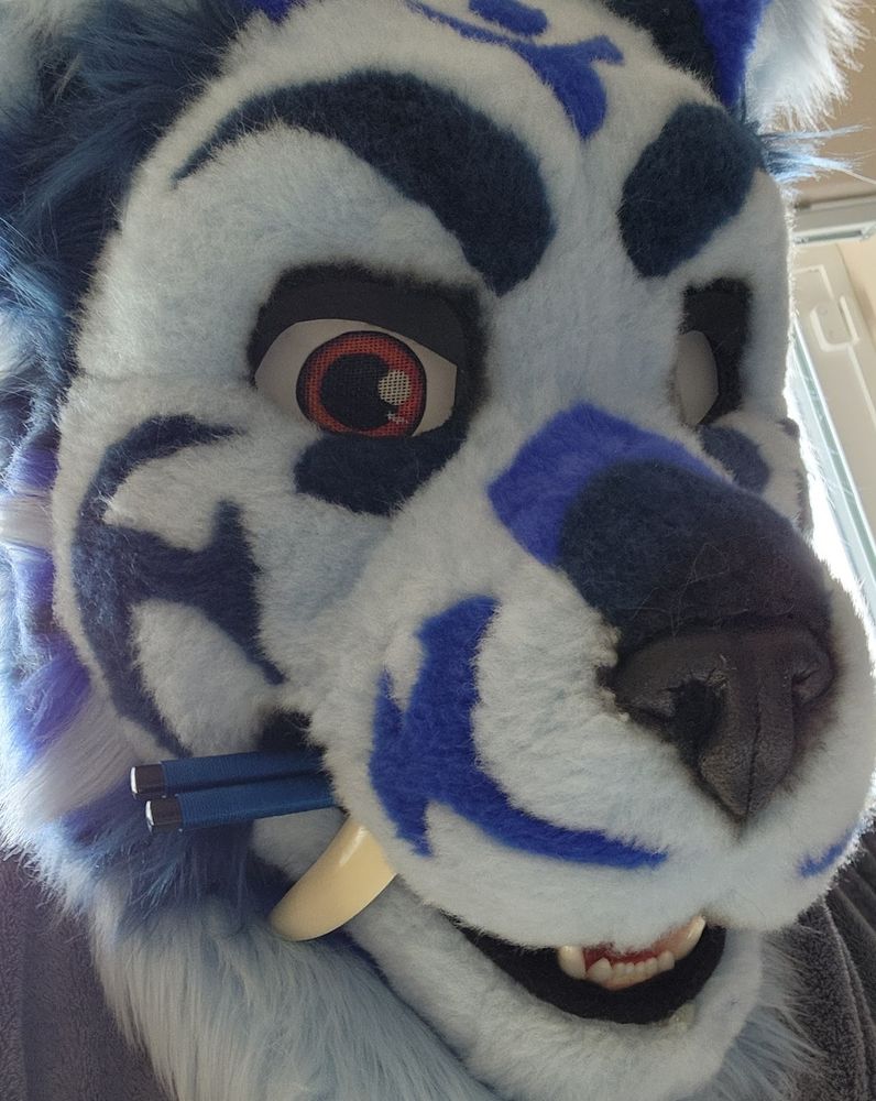 Blue sabertooth cat fursuit with chopsticks in mouth