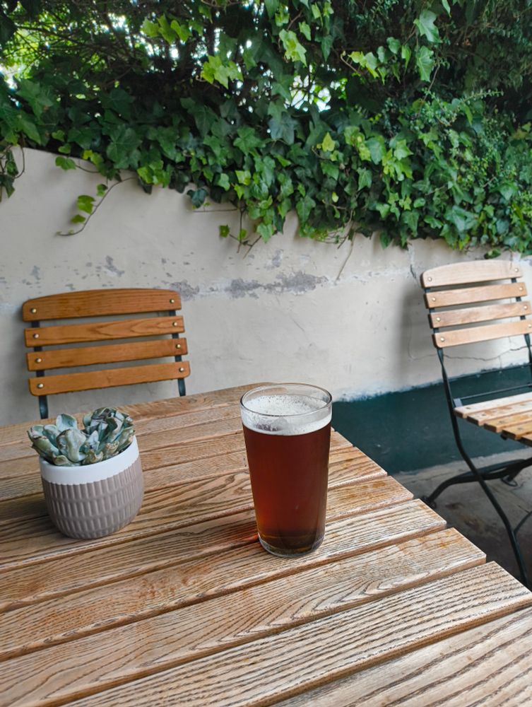 A pint of bitter at the Anglesea Arms, South Kensington today