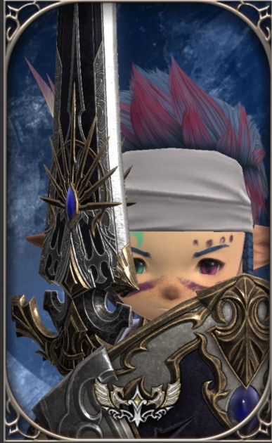 Aedyn in his Paladin glam