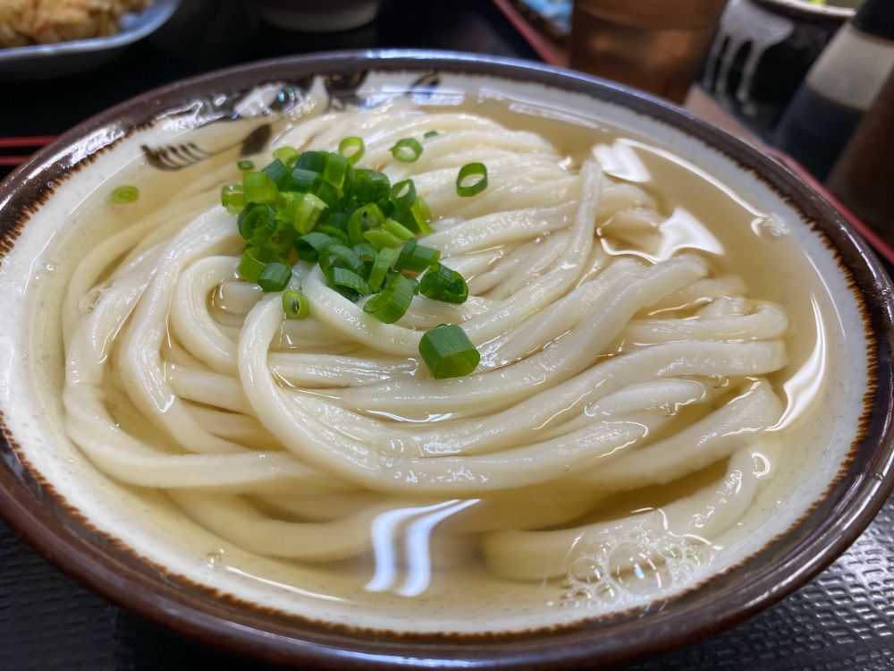讃岐うどんいわい
ひやあつ（中）