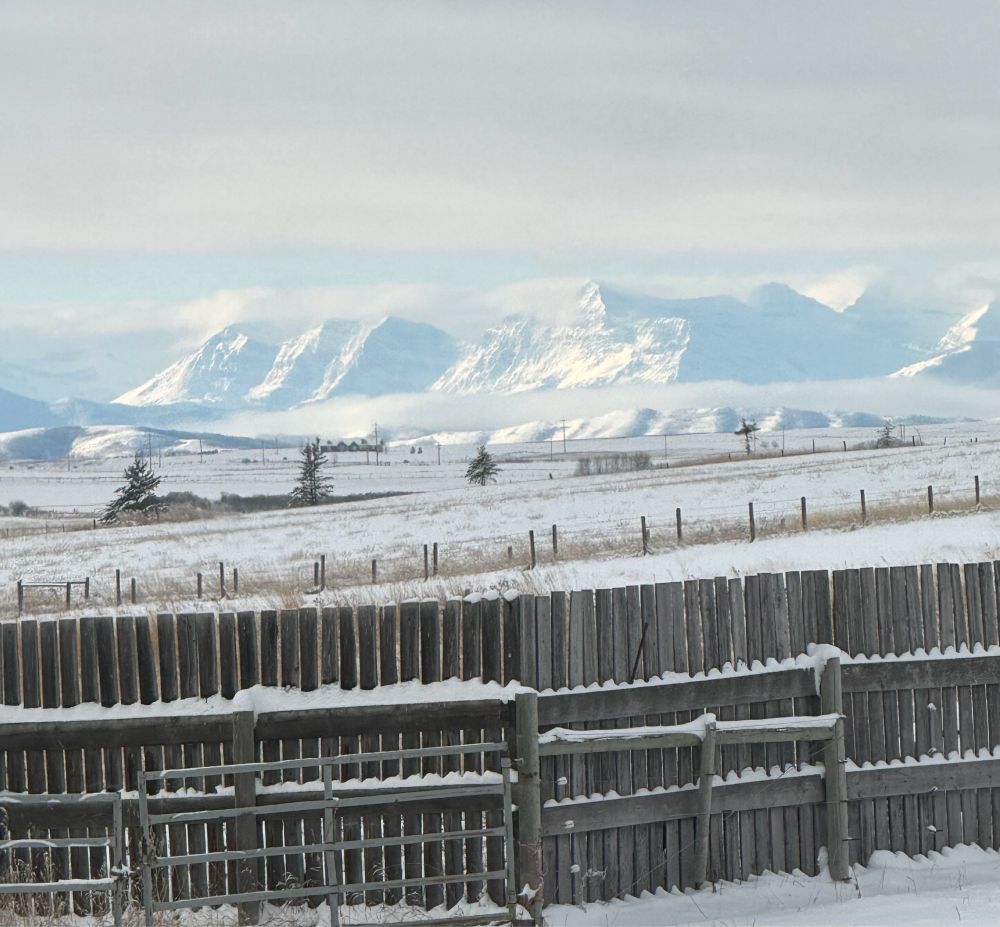 Snow on the eastern slopes of the Rocky Mountains taken from behind a bullboard ranch fence.