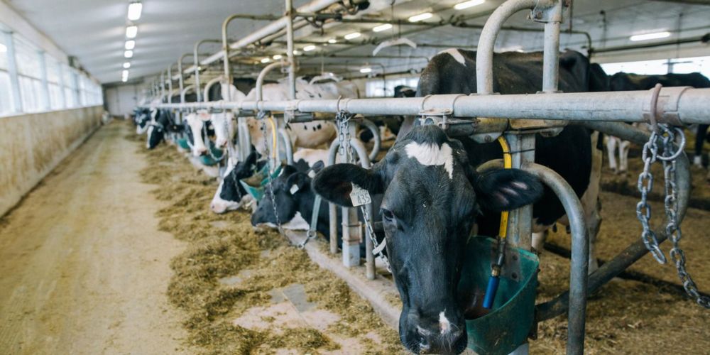 California residents challenge methane policy they say pollutes under the guise of clean energy