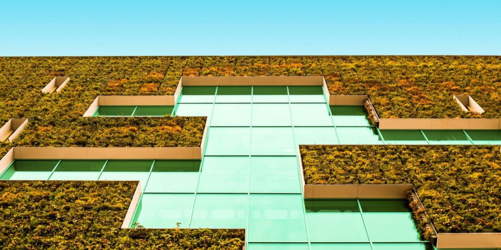 Cities are quietly outpacing nations in climate progress