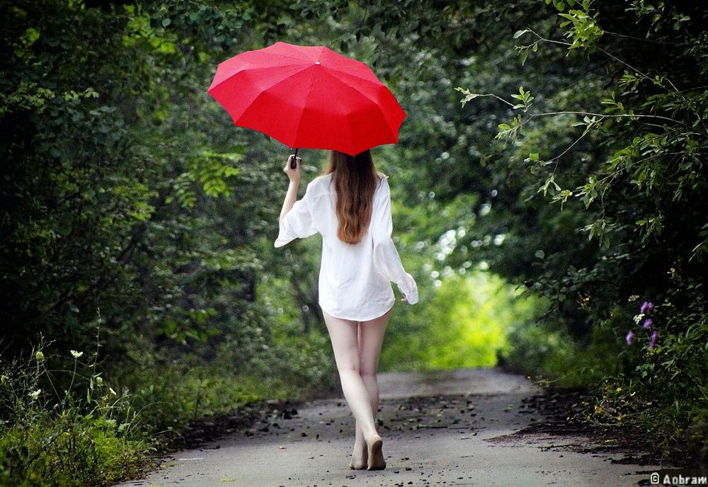 Photo of a woman with long hair, seen from behind. She wears a long blous as mini dress. She walks barefoot along a sandy path lined with herbaceous plants, shrubs, and trees. The trees also overhang the path.