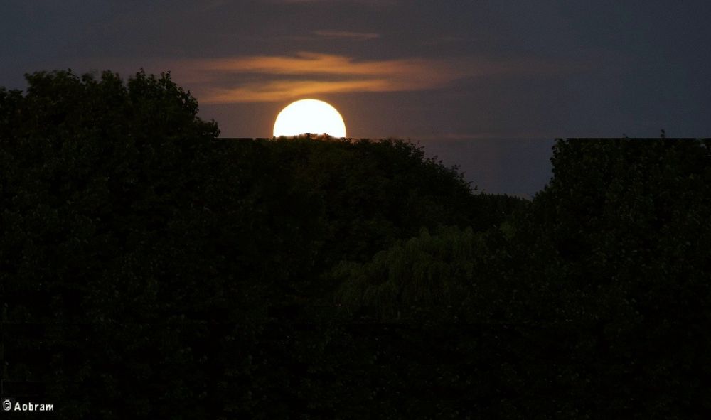 Foto van een verlichte bol in de lucht half achter het silhouet van bomen.