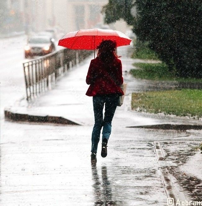 Photo of a woman, with long hair, seen from the back. She's running on the pavement along a road and a park. It's raining heavy. She wears a blazer, jeans and ankle boots. She carries a bag and upholds an unfolded red umbrella. 