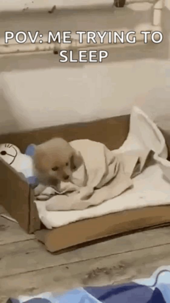 a puppy is laying in a cardboard box with a blanket on it .