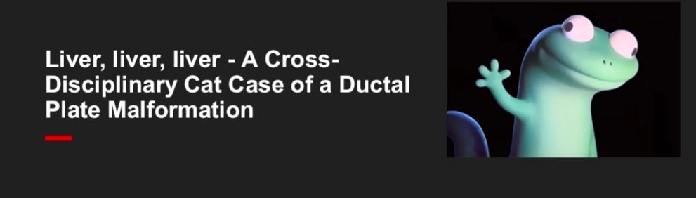 A presentation title page cropped with the title "liver, liver, liver - a cross-disciplinary cat case of a ductal plate malformation"; to the right is a popular lizard meme screenshot in reference to a video where the lizard continues to hit a button that says "lizard" over and over again.