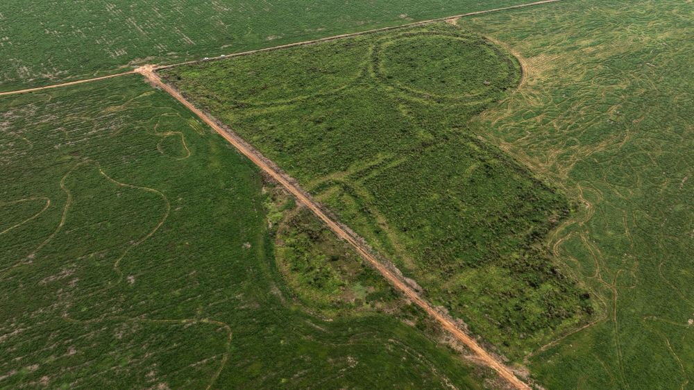 Fazendeiros destroem antiga civilização na Amazônia