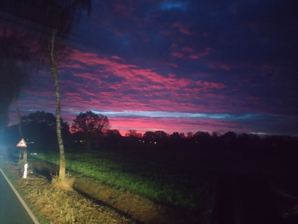 Morgenrot unter dichten wattigen Wolken mit einem hellblauen Streifen Tageslicht über dem baumbestandenen Horizont.  Unten links ein Stück Straßenrand, von Scheinwerfern erleuchtet.