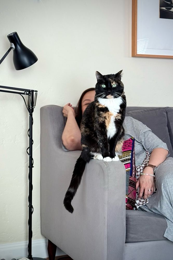 A snowshoed tortie cat with a motherfuckerly look on its face sitting on the arm of a couch, blocking the view of person behind it. 
