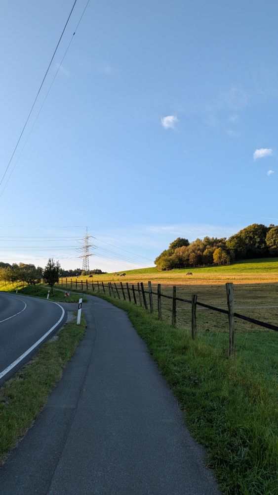 Das Bild zeigt den Fahrradweg neben der Straße kurz vor der Grenze von Bielefeld nach Lippe. Rechts ist eine weiße mit Pferden. 