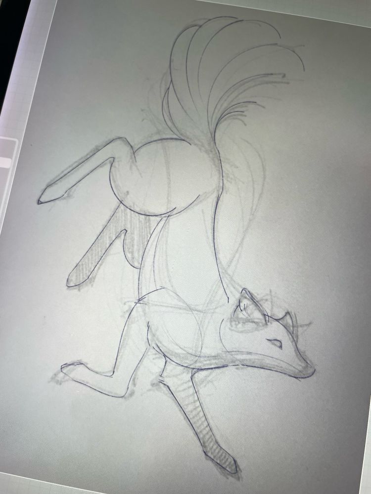 segundo rascunho de desenho de raposa