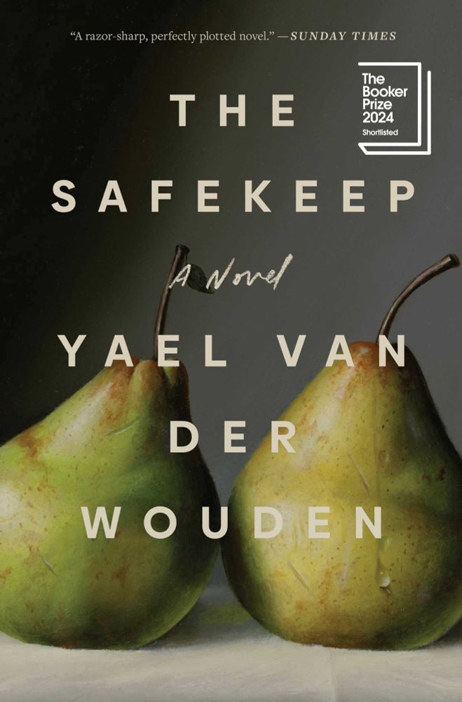 Cover of The Safekeep by Yael van der Wouden