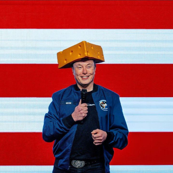 Elon wearing a cheese hat 
