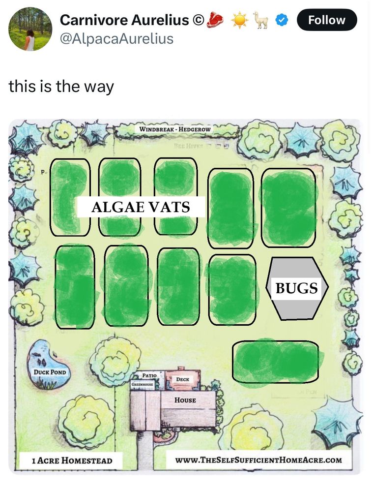 Carnivore Aurelius' tweet showing a map of a single-home subsistence farm, but everything has been replaced by sloppily-drawn shapes labeled "ALGAE VATS" and one gray polygon labeled "BUGS"