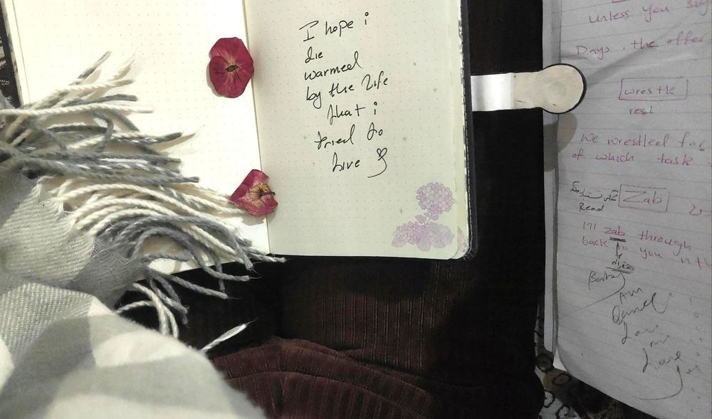 "I hope i die warmed by the life that i tried to live💗"