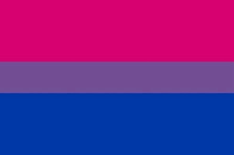 The bisexual pride flag