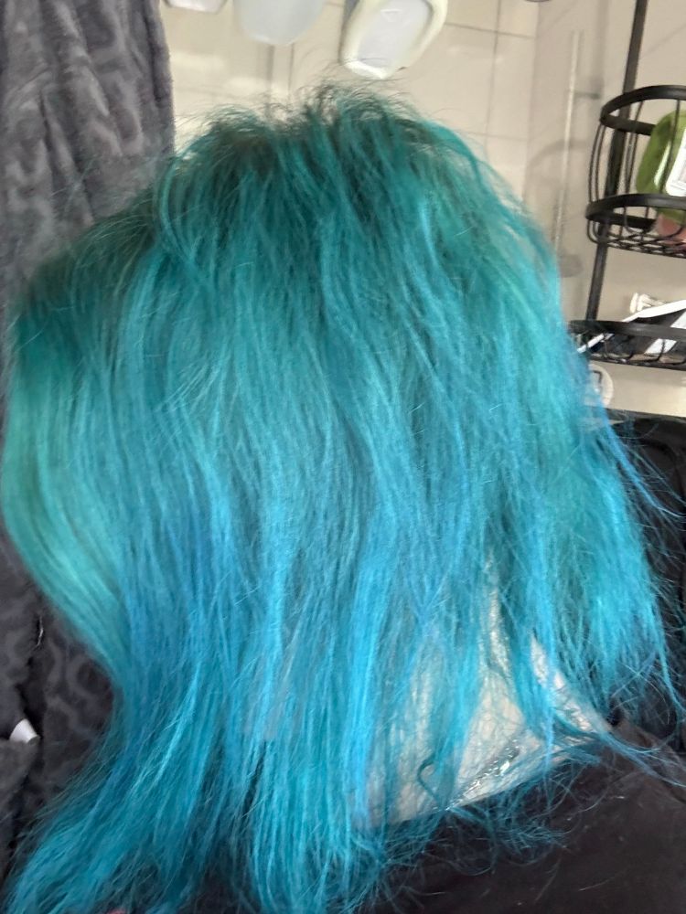 Foto meines Kopfes, man sieht nur Haare, die vom Ansatz in grün-türkis zu blau übergehen. 