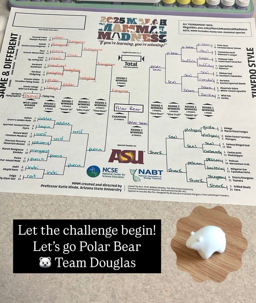 2025 March Mammal Madness bracket. Let the challenge begin! Let’s go Polar Bear. Team Douglas