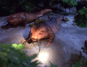 Tom Paris and captain Janeway as lizards from the Voyager episode Threshold.