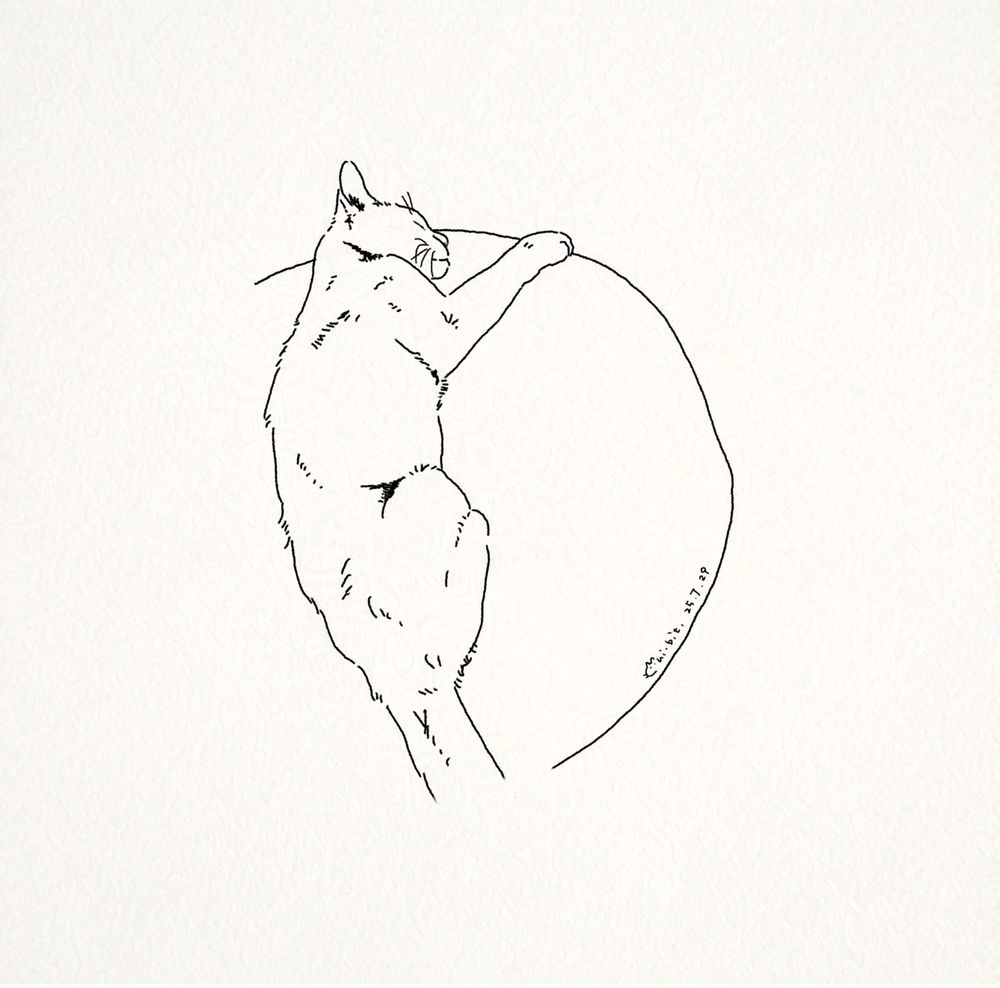 病院に連れてお疲れでお休み中のうちの猫の #イラスト #illustration
