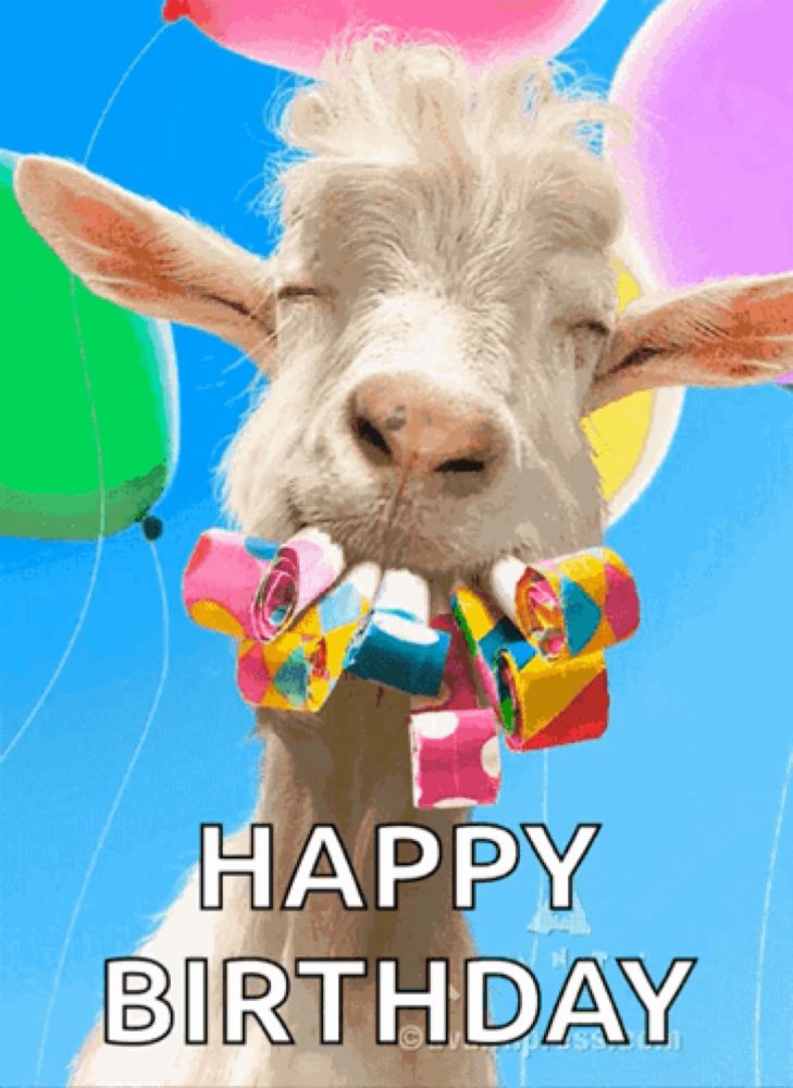 a birthday card with a goat holding party horns