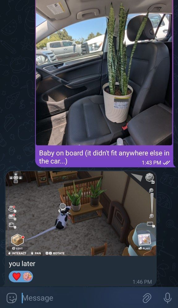 A screencap of two DMs. The first is a picture of a tall snake plant in the passenger seat of a car, captioned "Baby on board (it didn't fit anywhere else in the car...)". The reply is a screenshot of video game Squeakross, wherein a rat is sniffing a snake plant, captioned "you later."