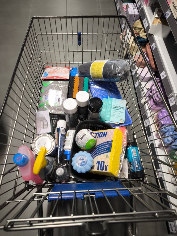 Ein Einkaufswagen im Action voll mit Artikeln. Unter anderem Wandfarbe, Spachtel, Allzweckreiniger, Pickelpatches, ein Regal für Playstation Spiele, Holzspachtelmasse und ein Türstopper