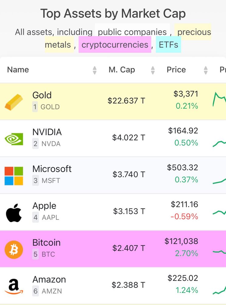 Bitcoin is the 5th largest asset in the world. 
