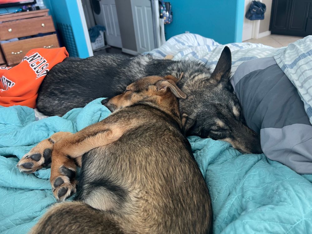 Finn and Mako sleeping together on the bed 