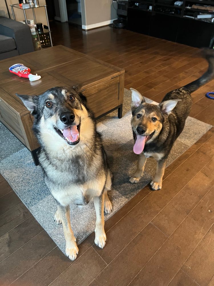Gonna and Mako standing on a rug, smiling at the camera