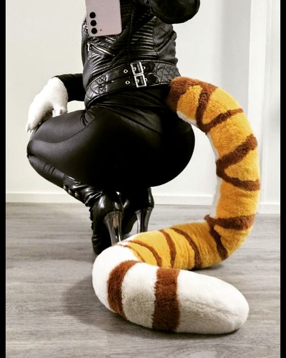 The tiger's getting sassy and taking a picture of her bu-- I mean tail, squating in front of the mirror.