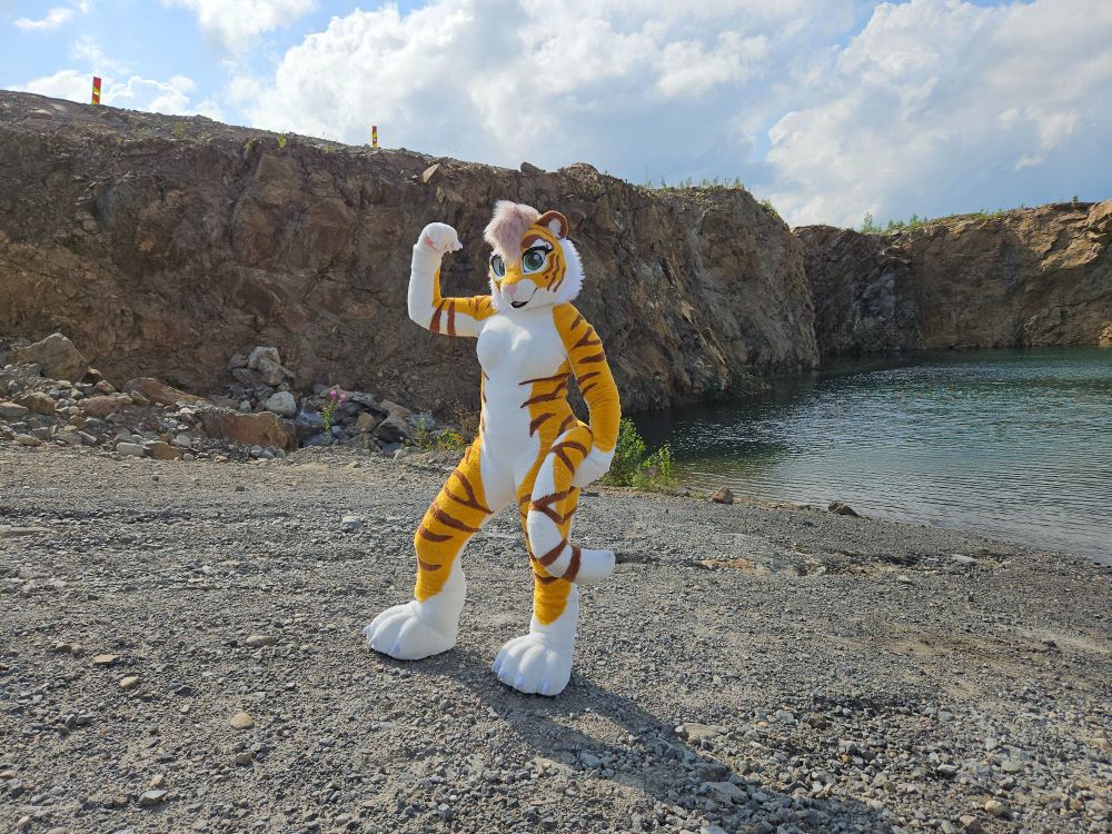 A toony tiger fursuit standing on a rocky shore with some cliffs and water on the background. She's showing off her bicep while holding her tail with the other hand.