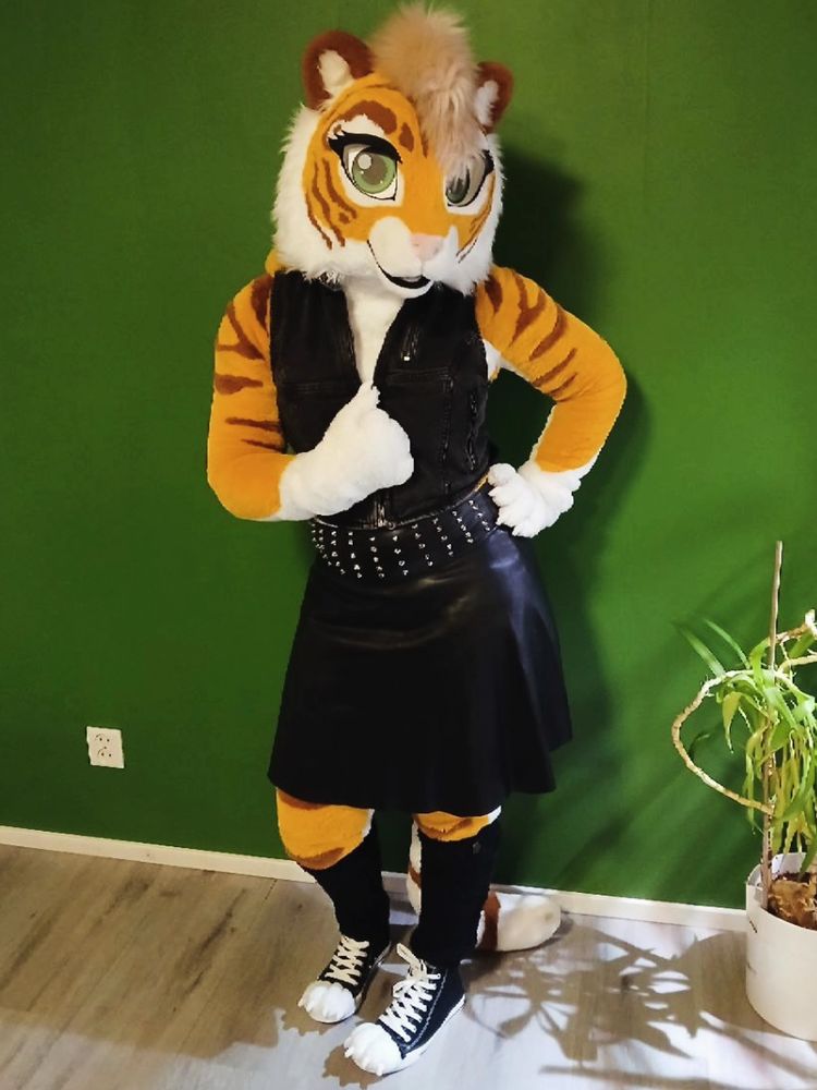 The same outfit as in the first picture, but the tiger is now facing the camera. 