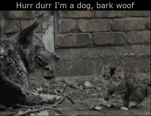 a dog standing next to a kitten that says hurr durr i 'm a dog bark woof on it